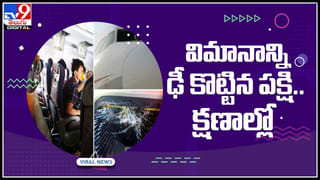 Snake Viral Video: సుత్తితలలా ఉండే వింత పాము.. దేనినైనా ద్రవంలా చేసి తాగేస్తుంది..! పూర్తి వివరాలు ఈ వీడియోలో..