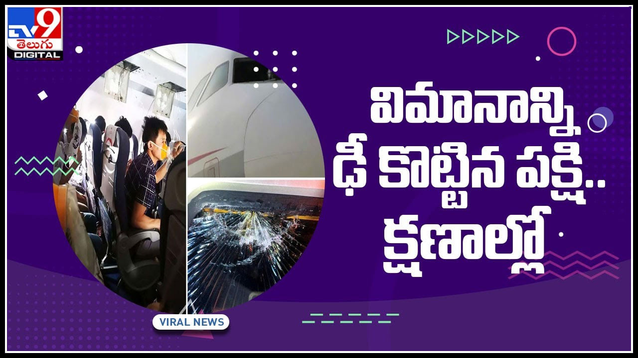 Bird hit aeroplane: విమానాన్ని ఢీ కొట్టిన పక్షి.. క్షణాల్లో పైలెట్ అలెర్ట్.. వైరల్ అవుతున్న వీడియో..