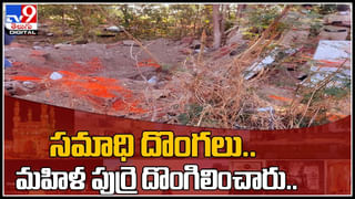 world most dangerous tree: ప్రపంచంలోనే అతి ప్రమాదకరమైన చెట్టు.. దీని పండు బాంబులా పేలుతోంది.వైరల్ అవుతున్న వీడియో