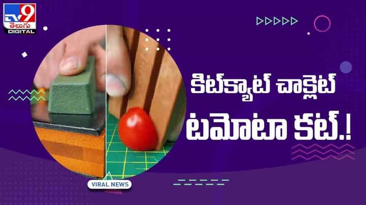 ఇదేంది !! కిట్క్యాట్ చాక్లెట్ టమోటా కట్ !! వీడియో ఇదేంది !! కిట్క్యాట్ చాక్లెట్ టమోటా కట్ !! వీడియో