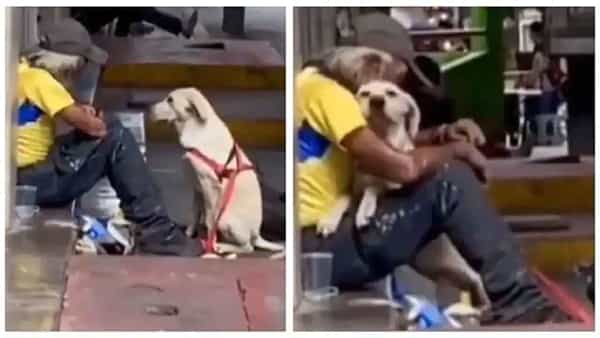 Viral Video: రోడ్డు పక్కన నిరాశ్రయుడైన వ్యక్తిని కౌగలించుకున్న కుక్క.. నెటిజన్ల మనసు గెలుచుకున్న వీడియో