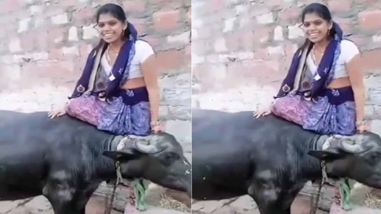 Viral Video: నాతోనే గేమ్సా.. బర్రెతో ఫోజులివ్వబోయి బొక్కబోర్లా పడిన చిన్నది.. నెట్టింట వీడియో వైరల్