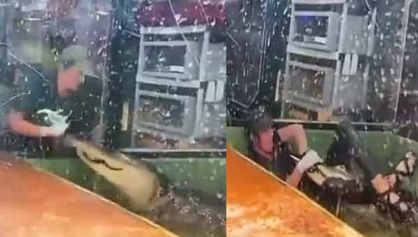 Viral Video: మొసలికి ఆహారం పెడదామనుకుంది.. కానీ అంతలోనే.. ఒళ్లు గగుర్లు పొడిచే వీడియో..