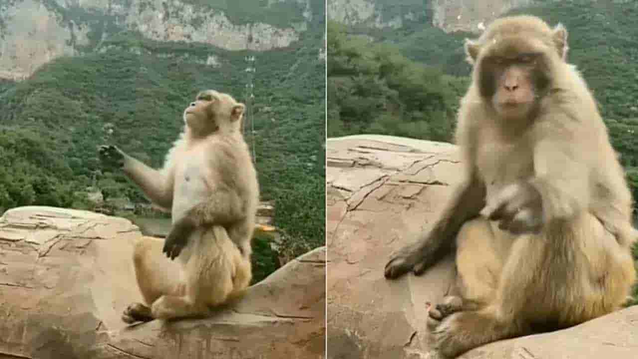 Viral Video: నా ఆట చూడు నాటు నాటు.. బబుల్స్తో మైమరిచి ఆడుకుంటున్న వానరం.. వైరల్ వీడియో