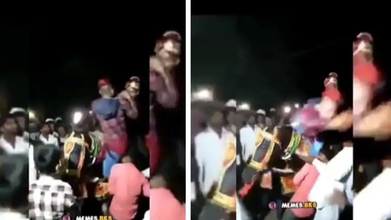 Viral Video: బరాత్లో నాగిని డ్యాన్స్.. స్ప్రింగ్లాంటి స్టెప్పులు చూసి షాకవుతోన్న నెటిజన్లు.. వైరల్ వీడియో