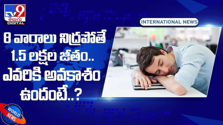 8 వారాలు నిద్రపోతే 1.5 లక్షల జీతం !! ఎవరికి అవకాశం ఉందంటే ?? వీడియో 8 వారాలు నిద్రపోతే 1.5 లక్షల జీతం !! ఎవరికి అవకాశం ఉందంటే ?? వీడియో