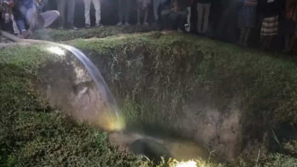 Viral Video: మురుగు గుంతలో పడిపోయిన ఏనుగు.. ఆర్కిమెడిస్ సిద్ధాంతంతో పైకి.. అధికారుల ఐడియాకు హ్యాట్సాఫ్ చెప్పాల్సిందే..