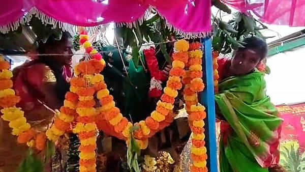 వేప, రావి చెట్లకు అంగరంగ వైభవంగా వివాహం.. ఆపై విందు భోజనం.. ఎక్కడంటే..