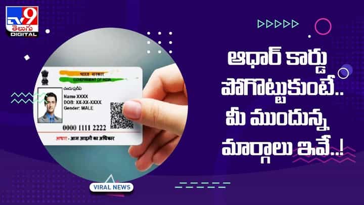 Aadhaar Card: ఆధార్ కార్డు పోగొట్టుకుంటే.. మీ ముందున్న మార్గాలు ఇవే.. వీడియో Aadhaar Card: ఆధార్ కార్డు పోగొట్టుకుంటే.. మీ ముందున్న మార్గాలు ఇవే.. వీడియో