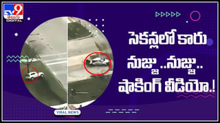 Viral Video: ఔరా..! ఉడుము ఎంత పని చేసింది.. రెస్టారెంట్‌లోకి దూరి మహిళకు చుక్కలు చూపించిన ఉడుము.. వైరల్ అవుతున్న వీడియో..