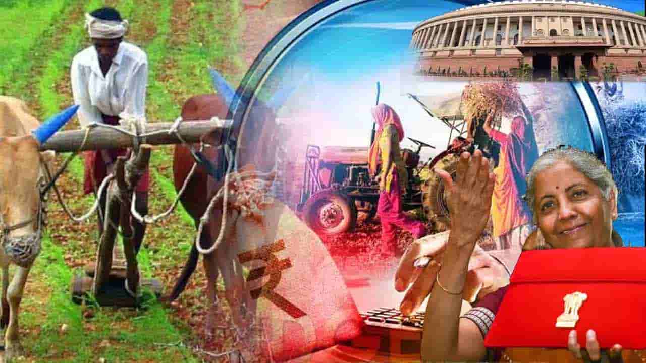 Budget 2022: దేశానికి వెన్నెముక రైతన్న ఈ బడ్జెట్ నుంచి ఏమి కోరుకున్నాడు? నిర్మలమ్మ ఏమిచ్చారు?