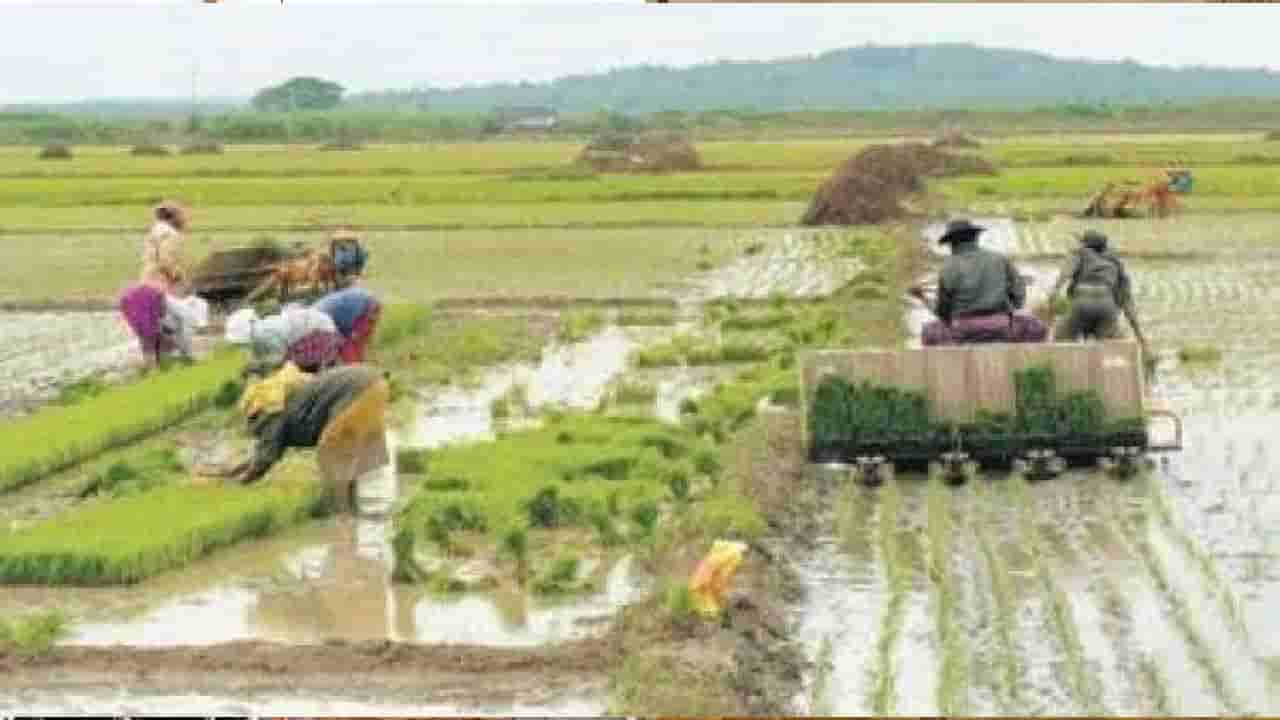 Budget 2022: రైతు ఆదాయాన్ని రెట్టింపు చేస్తానన్న సర్కార్.. బడ్జెట్ కేటాయింపుల్లో అసలుకే ఎసరు!