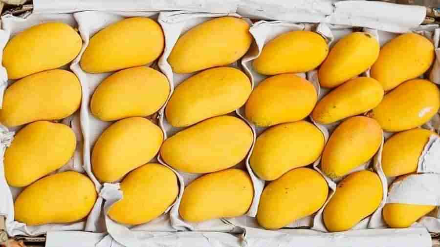 Mangoes: ఆ మామిడి వాసన, రుచి, అద్భుతం.. ధర కూడా అంతే రేంజ్‌లో..?