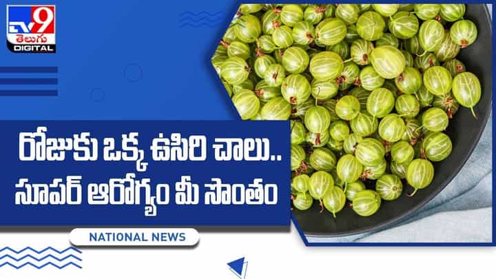 Amla: రోజుకు ఒక్క ఉసిరికాయ చాలు.. సూపర్ ఆరోగ్యం మీ సొంతం.. వీడియో Amla: రోజుకు ఒక్క ఉసిరికాయ చాలు.. సూపర్ ఆరోగ్యం మీ సొంతం.. వీడియో