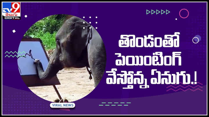 Elephant Viral Video: తొండంతో పెయింటింగ్ వేస్తోన్న ఏనుగు.! సోషల్ మీడియాను షేక్ చేస్తున్న వైరల్ వీడియో.. Elephant Viral Video: తొండంతో పెయింటింగ్ వేస్తోన్న ఏనుగు.! సోషల్ మీడియాను షేక్ చేస్తున్న వైరల్ వీడియో..