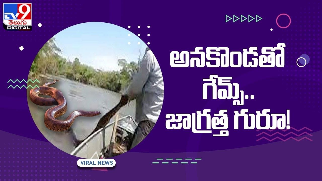 Viral Video: అనకొండతో గేమ్స్‌ !! జాగ్రత్త గురూ !! వీడియో