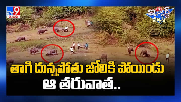 Viral Video: దున్నపోతుతో ఇట్లానే ఉంటుంది మరీ.. వైరల్ వీడియో.. Viral Video: దున్నపోతుతో ఇట్లానే ఉంటుంది మరీ.. వైరల్ వీడియో..
