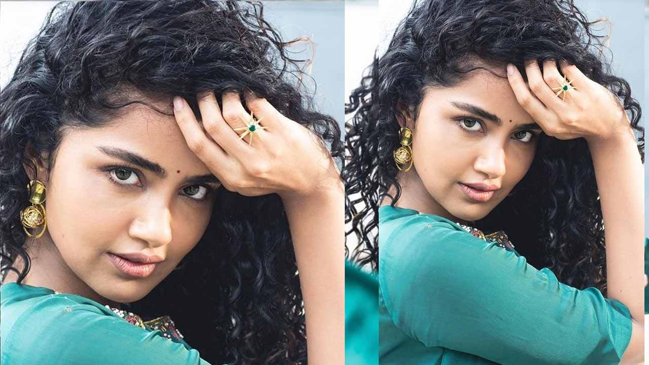 Anupama Parameswaran: అందాల ముద్దుగుమ్మ సీతాకోక చిలుకగా మారితే.. ఆకట్టుకుంటున్న అనుపమ పరమేశ్వరన్ న్యూలుక్..