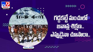 దేవుడి దర్శనానికి వెళ్తే.. పెద్ద పులి దర్శనం.. భయంతో చెట్టెక్కిన యువకులు !! వీడియో