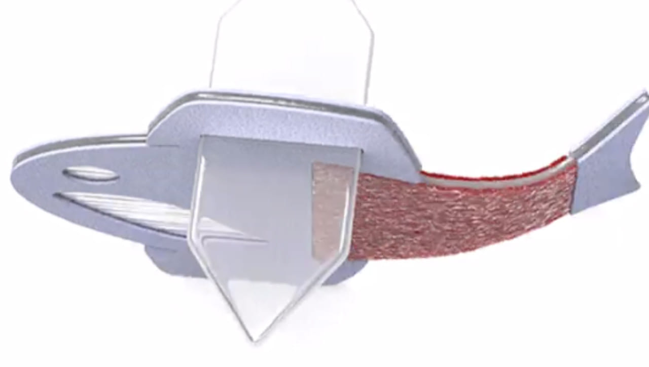 Artificial Fish: శాస్త్రవేత్తల అద్భుత సృష్టి.. మానవ హృదయ కణాలతో కృత్రిమ చేప. వైరల్‌ వీడియో..