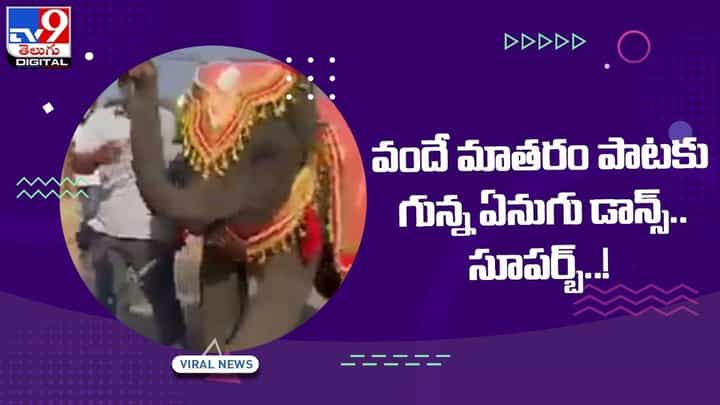 Viral Video: వందే మాతరం పాటకు గున్న ఏనుగు డాన్స్ !! సూపర్బ్.. వీడియో Viral Video: వందే మాతరం పాటకు గున్న ఏనుగు డాన్స్ !! సూపర్బ్.. వీడియో
