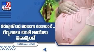 Weight Loss Tips: వేగంగా బరువు తగ్గాలనుకుంటున్నారా..? అయితే.. ఈ డైట్ పాటించండి చాలు