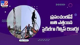 Viral Video: జిరాఫీని చుట్టు ముట్టిన సింహాలు !! ఎలా తప్పించుకుందో తెలుసా !! వీడియో