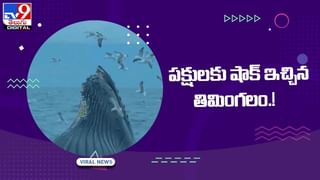 జస్ట్ మిస్‌ !! లేదంటే ట్రక్కు కింద పడేవాడు !! వీడియో