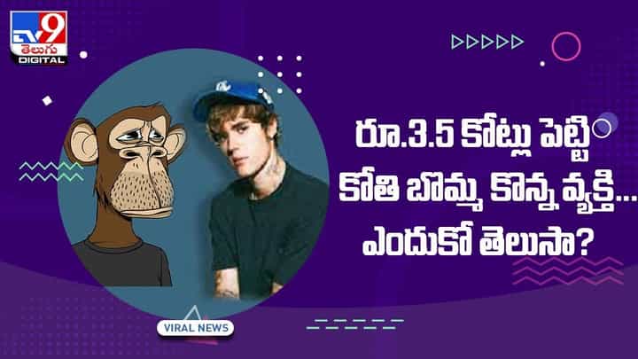 రూ.3.5 కోట్లు పెట్టి కోతి బొమ్మ కొన్న వ్యక్తి !! ఎందుకో తెలుసా ?? వీడియో రూ.3.5 కోట్లు పెట్టి కోతి బొమ్మ కొన్న వ్యక్తి !! ఎందుకో తెలుసా ?? వీడియో