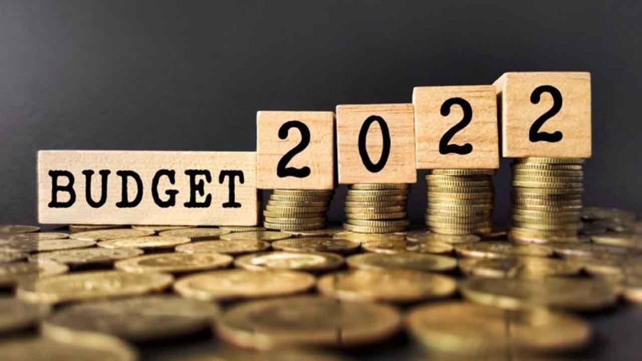 Budget 2022: వార్షిక బడ్జెట్‌ ఆర్థిక వ్యవస్థపై ఎలాంటి ప్రభావం చూపుతుంది..? తాజా సర్వేలో ఎవరు ఏమన్నారంటే..