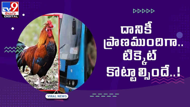 Bus Ticket to Cock: దానికీ ప్రాణముందిగా.. టిక్కెట్ కొట్టాల్సిందే !! వీడియో Bus Ticket to Cock: దానికీ ప్రాణముందిగా.. టిక్కెట్ కొట్టాల్సిందే !! వీడియో