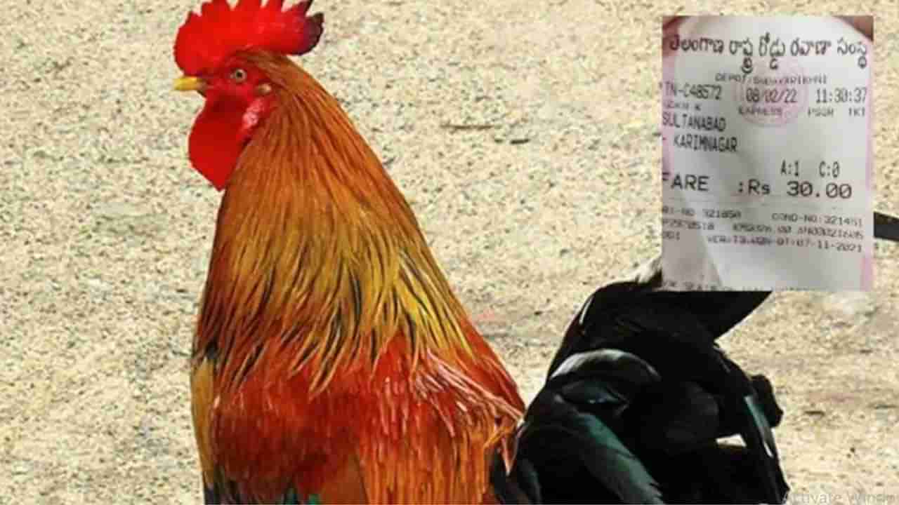 Bus Ticket to Cock: దానికీ ప్రాణముందిగా.. టిక్కెట్ కొట్టాల్సిందేనన్న కండక్టర్.. ఆ తరువాత ఏం జరిగిందంటే..!