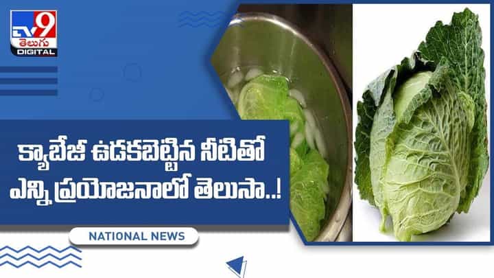 Cabbage Water: రోజూ క్యాబేజీ ఉడకబెట్టిన నీరు తాగడం వలన ఆరోగ్యప్రయోజనాలు.. వీడియో Cabbage Water: రోజూ క్యాబేజీ ఉడకబెట్టిన నీరు తాగడం వలన ఆరోగ్యప్రయోజనాలు.. వీడియో