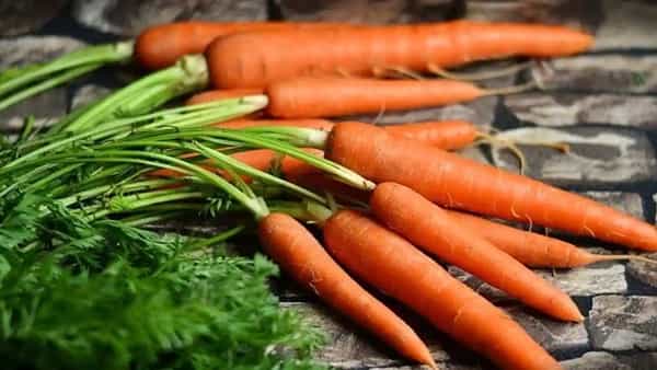 Health Tips: క్యారెట్ ఆరోగ్యకరం అని రోజూ తింటున్నారా? అయితే నిపుణులు చెబుతున్న ఈ విషయాలు తెలుసుకోండి..