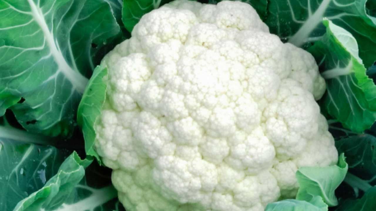 Cauliflower: కాలీఫ్లవర్ తింటున్నారా.. అయితే కొన్ని సమస్యలు ఉన్నవారు ఇది తినొద్దు.. అవి ఏమిటంటే..