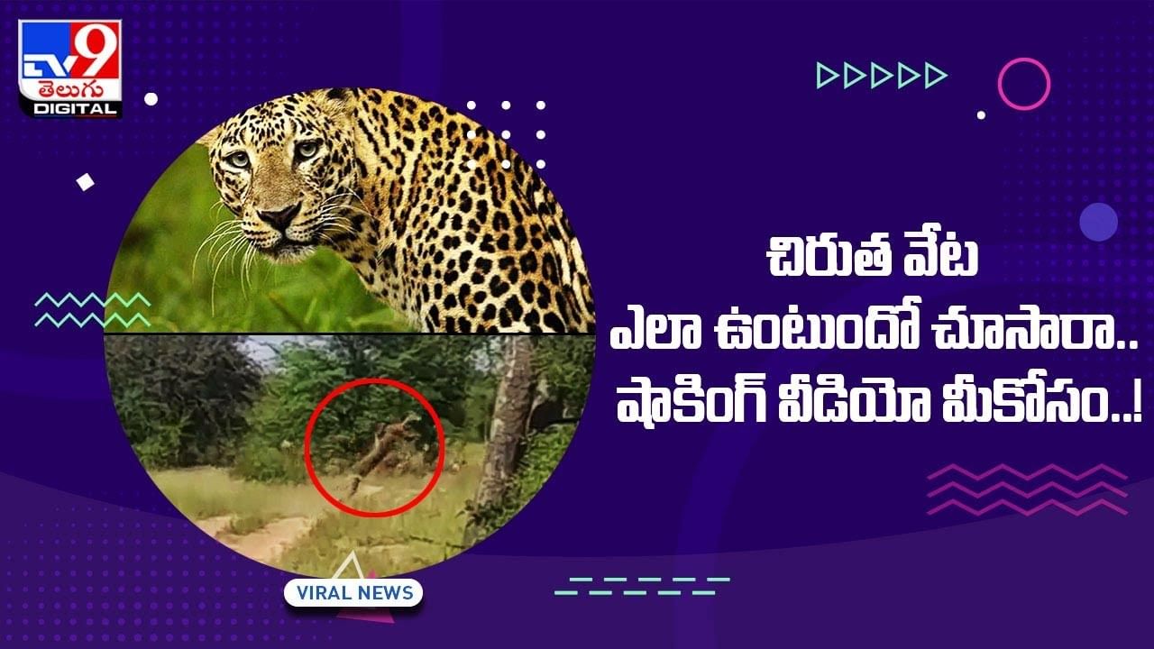 Viral Video: చిరుత వేట ఎలా ఉంటుందో చూసారా.. షాకింగ్‌ వీడియో మీకోసం