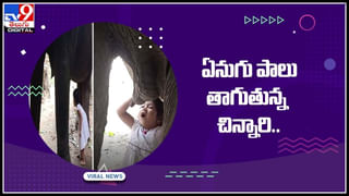 Nagini Dance Video: బరాత్‌లో నాగిని డ్యాన్స్‌.. స్ప్రింగ్‌లాంటి స్టెప్పులకు వరుడు షాక్‌.! వైరల్ అవుతున్న వీడియో..