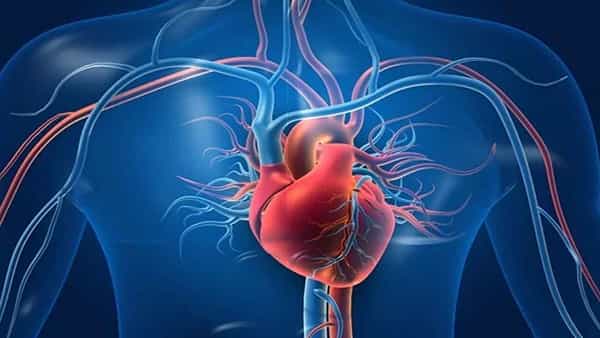 Corona Effect: గుండె రక్తనాళాలపై కరోనా ఎఫెక్ట్.. తాజా పరిశోధనలలో కీలక అంశాలు