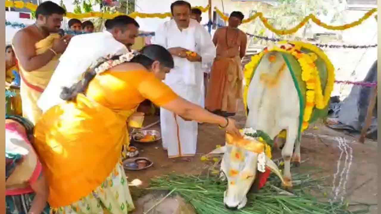 Cow Babyshower Function: అనంతలో ఘనంగా గోవుకి సీమంతం వేడుక.. 500మందికి అన్నదానం చేసిన దంపతులు..