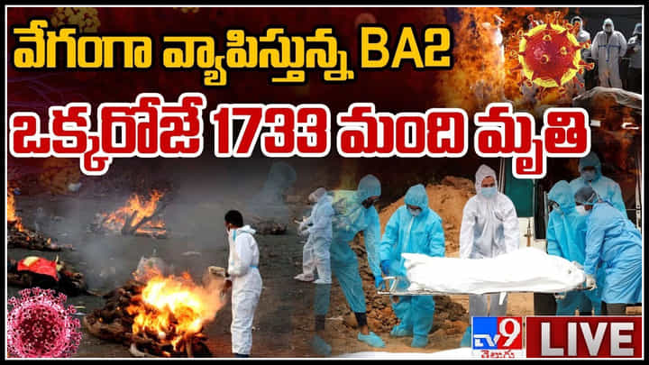 BA2 Dangerous Coronavirus: వేగంగా వ్యాపిస్తున్న BA2.. ఒక్కరోజే 1733 మంది మృతి.. పొంచిఉన్న మరింత ప్రమాదం..(వీడియో) BA2 Dangerous Coronavirus: వేగంగా వ్యాపిస్తున్న BA2.. ఒక్కరోజే 1733 మంది మృతి.. పొంచిఉన్న మరింత ప్రమాదం..(వీడియో)