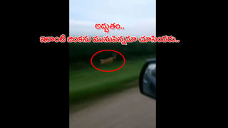 Viral Video: వీళ్ళకి మానవత్వం ఉందా…! వీల్ చైర్​లో వచ్చిందని రెస్టారెంట్​లోకి రానివ్వలేదు.. వైరల్ వీడియో..