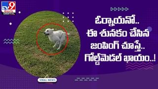 Viral Video: పానీపూరితో నూడుల్స్ కోసం జనం క్యూ !! వీడియో