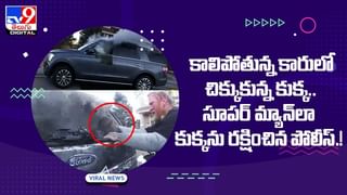 Viral Video: పెళ్లి వేడుకలో షాకింగ్ సీన్.. వరుడిపై కోపంతో వధువు ఏం చేసిందంటే..? వీడియో వైరల్..