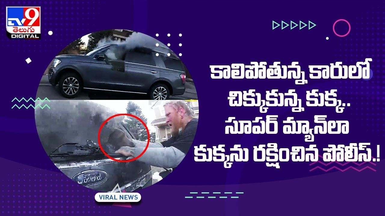 కాలిపోతున్న కారులో చిక్కుకున్న కుక్క !! సూపర్‌ మ్యాన్‌లా కుక్కను రక్షించిన పోలీస్‌ !! వీడియో