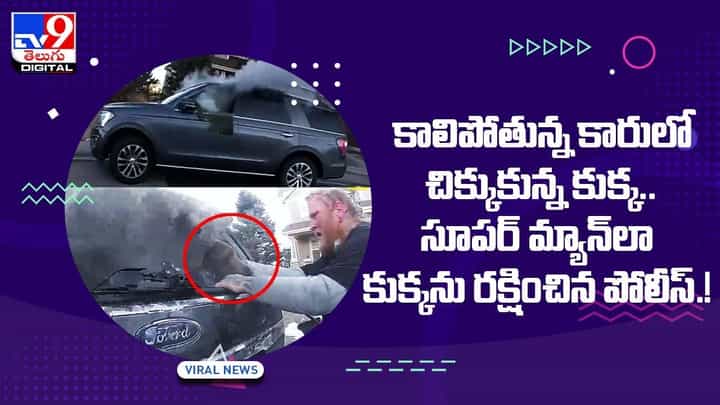 కాలిపోతున్న కారులో చిక్కుకున్న కుక్క !! సూపర్ మ్యాన్లా కుక్కను రక్షించిన పోలీస్ !! వీడియో కాలిపోతున్న కారులో చిక్కుకున్న కుక్క !! సూపర్ మ్యాన్లా కుక్కను రక్షించిన పోలీస్ !! వీడియో