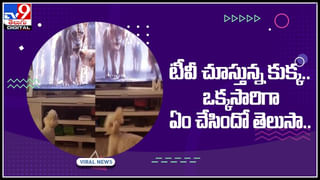 Woman success storie: పాత బట్టలు అమ్ముతూ.. తినడానికి తిండి లేని స్థాయి నుంచి లక్షాధికారిగా.. ఆదర్శంగా మారిన వీడియో