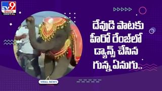 వామ్మో.. డజను మామిడి కాయలు రూ.31 వేలా ?? వీడియో