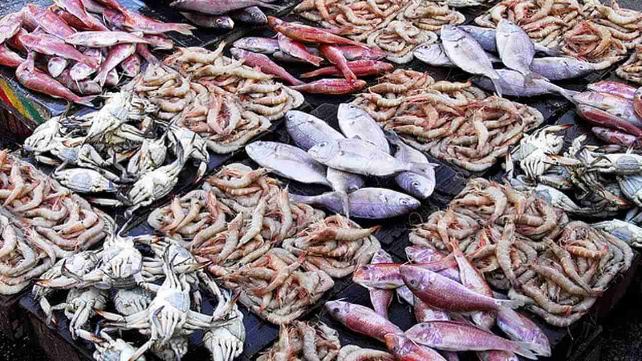 Fish Andhra: జగన్ సర్కార్ కీలక నిర్ణయం.. ఇకపై ఇంటివద్దకే తాజా చేపలు, రొయ్యలు