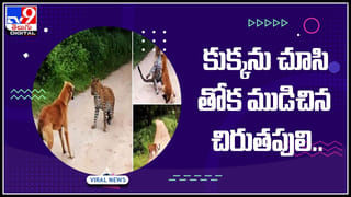 Viral: షాకింగ్.. విపరీతమైన జలుబు.. కట్ చేస్తే.. 20 ఏళ్ల గతాన్ని మర్చిపోయిన మహిళ