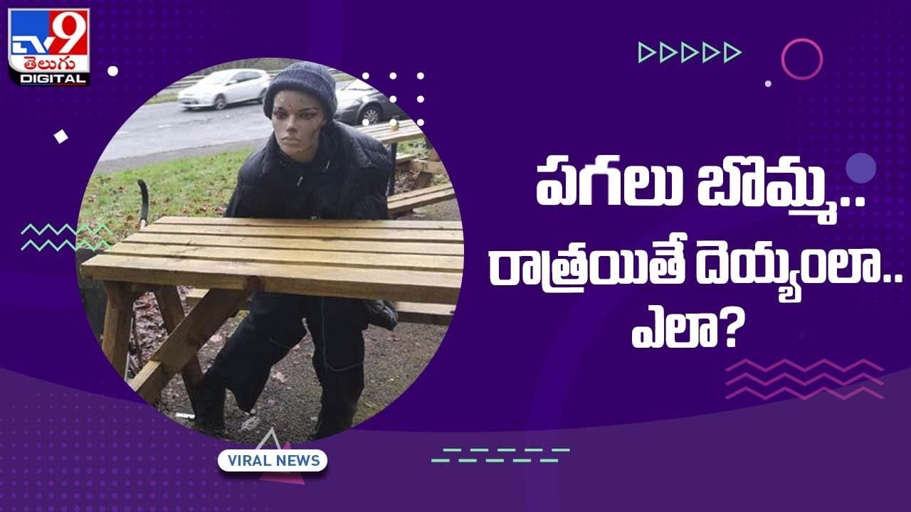 పగలు బొమ్మ.. రాత్రయితే దెయ్యంలా.. ఎలా ?? వీడియో